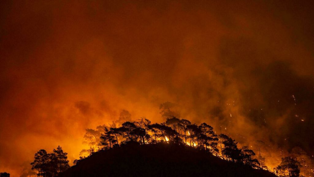 We're Literally Watching the World Burn: Wildfires in Algeria and Greece
