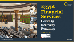 Report: Egypt's Covid Response Report (CRR)